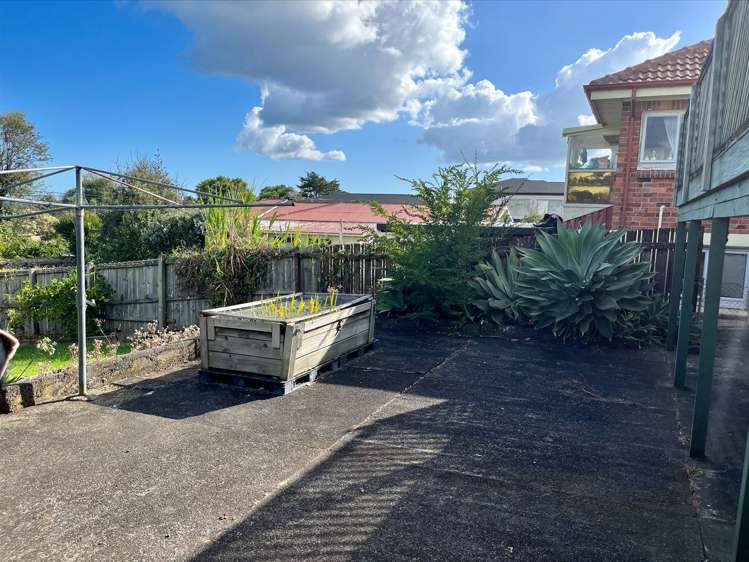 27 Tiverton Road Avondale_15