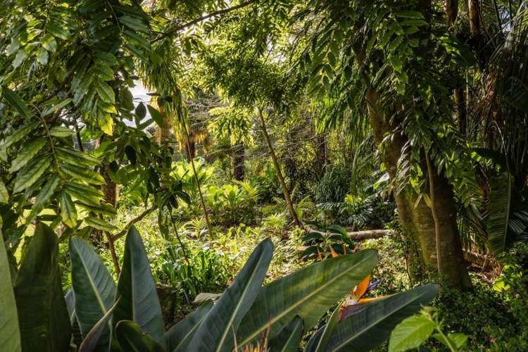 52 Kerikeri Inlet Road Kerikeri_34