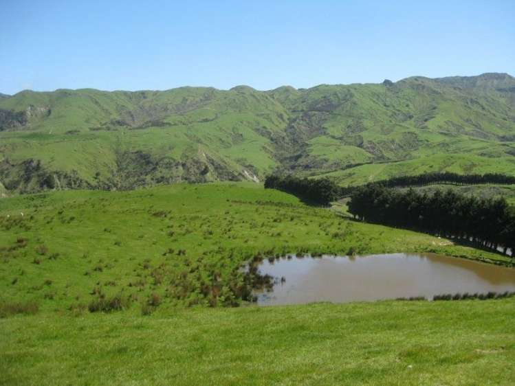 858 Oporae Road Waione_2