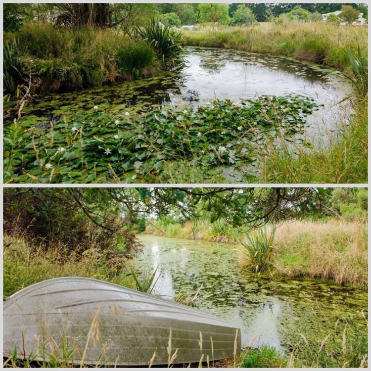 179 Lees Pakaraka Road Masterton_20