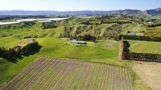 186 Parkinson Road Opotiki and Surrounds_2