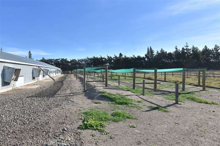 87 Ashworths Road Ohoka_17