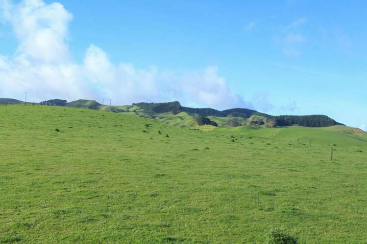 30 Van Houtte Road Raglan_9