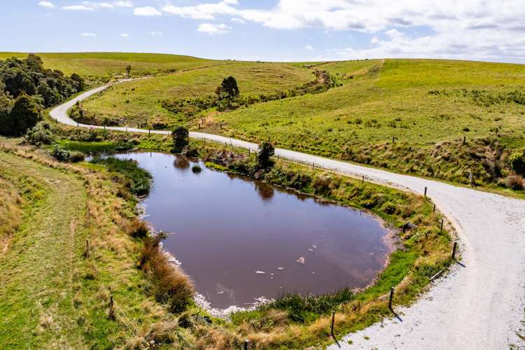 24 Foster Road Dargaville_26