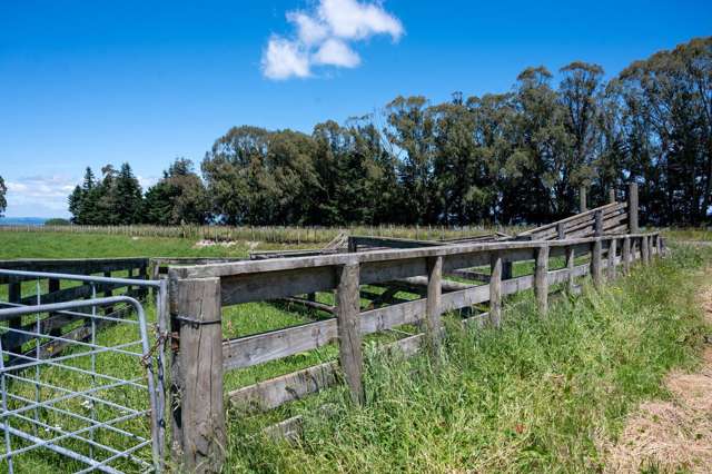 Rakau Road Reporoa and Surrounds_4