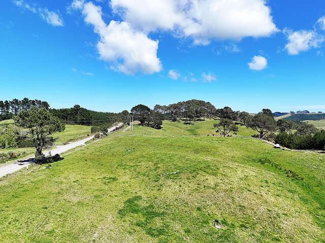 320A Babylon Coast Road Dargaville_1
