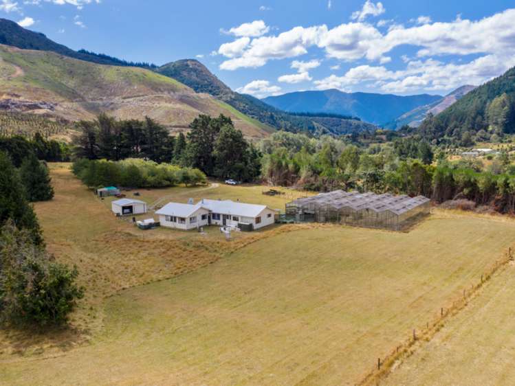 285 Tapps Road Havelock_2