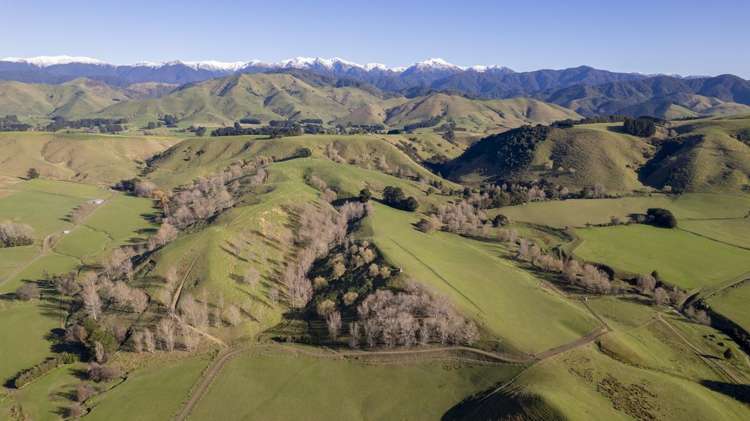 72 Te Hau Road Masterton_7