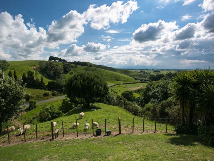 79 Norwegian Road Rotoorangi_11