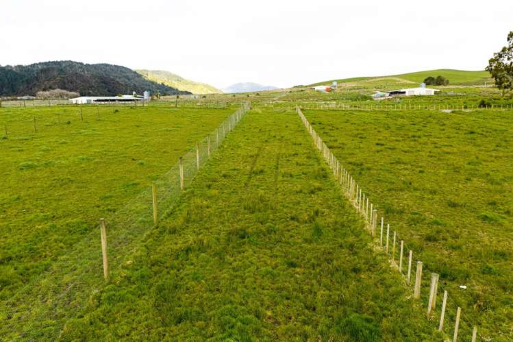 Lot/5 Dodd Road Maungaturoto_7