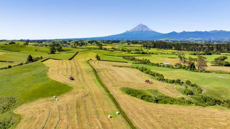 Upland Road Egmont Village_7