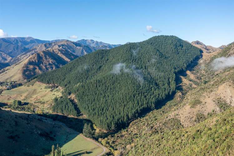 1180 Tyntesfield Road Waihopai Valley_10