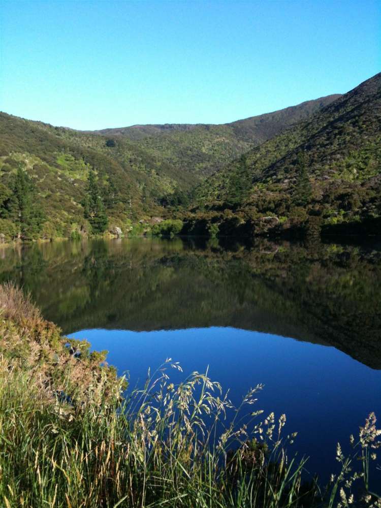 121 Watt Street Featherston_14