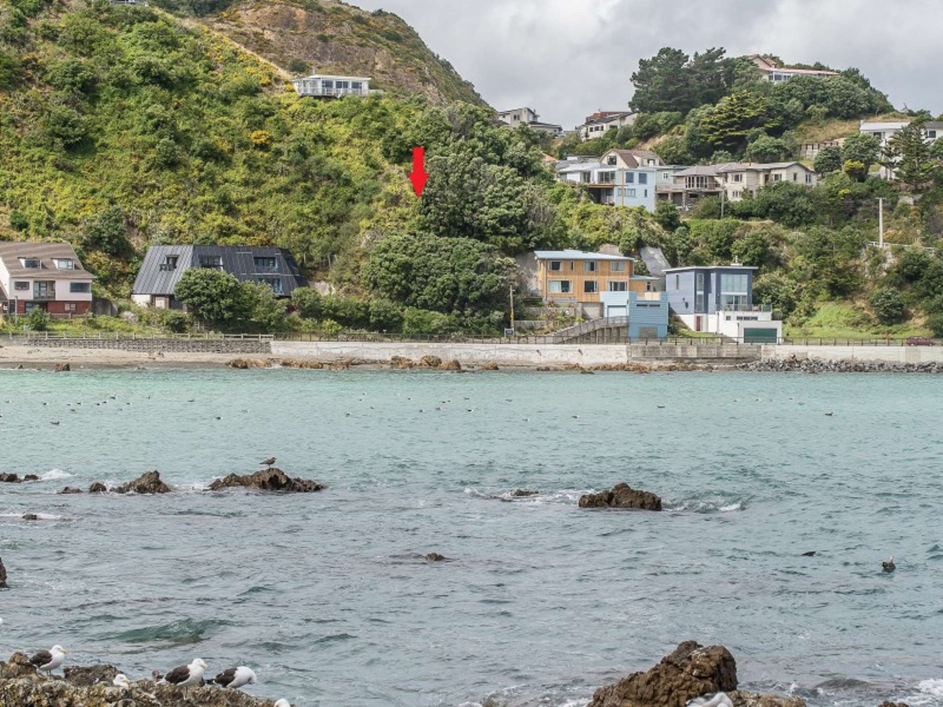 10 Owhiro Bay Parade Island Bay_0