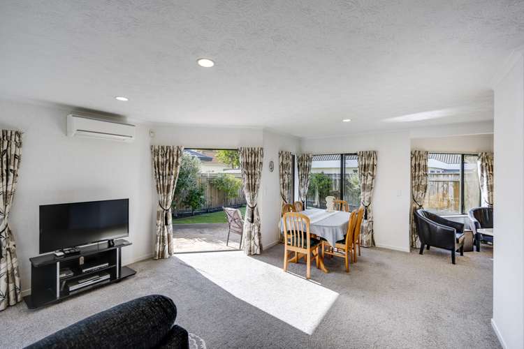 8b Wilton Row Taradale_4