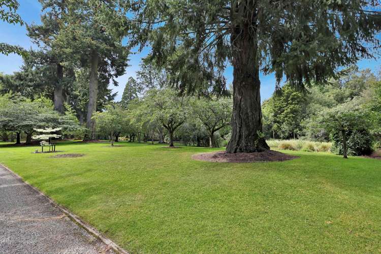 106 Park Street Ashburton_89