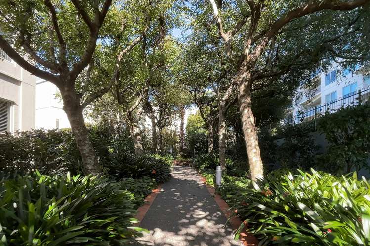 3 Joseph Banks Terrace Remuera_28