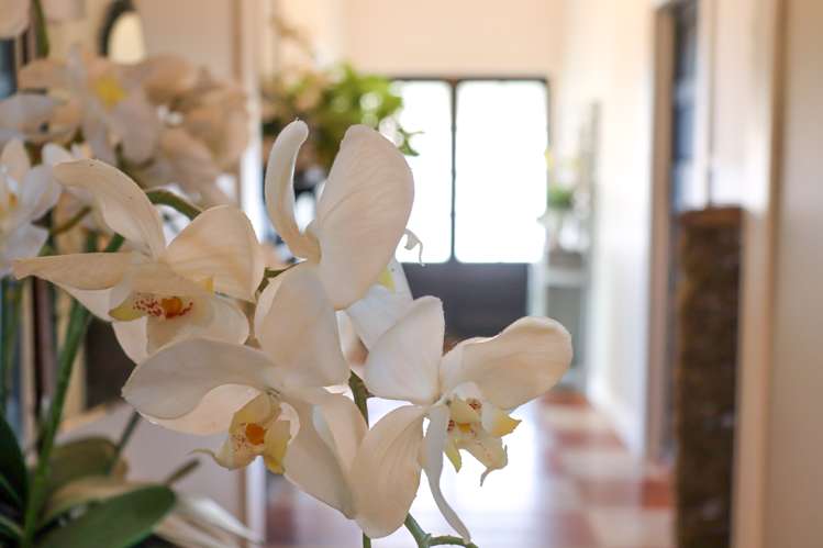 36 Robinson Street Foxton_17