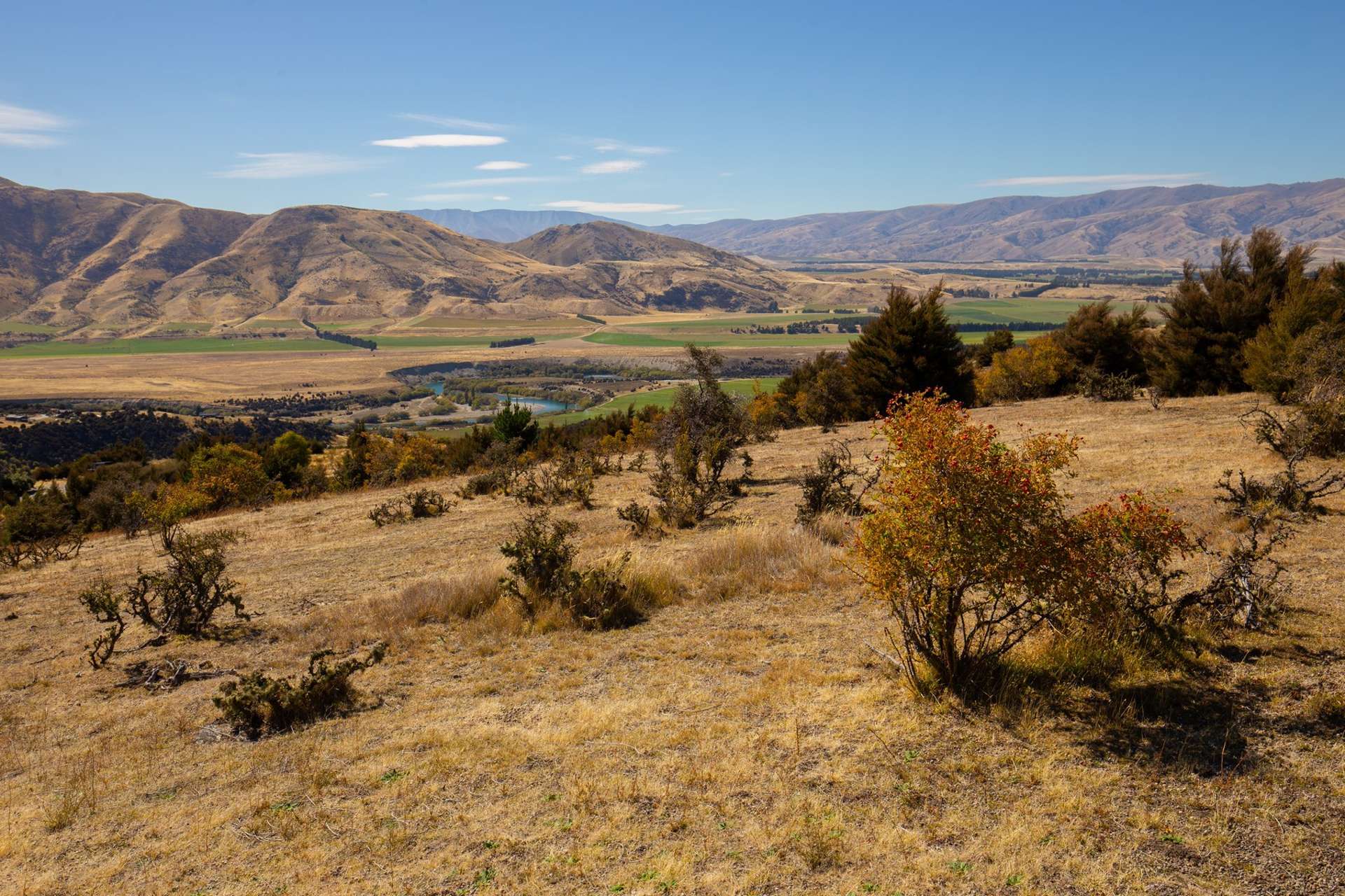 Lot 19 Pukekowhai Drive Queensberry_0