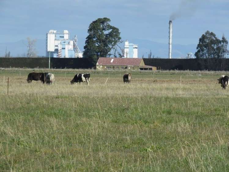 1035 Newland Road Clandeboye_11