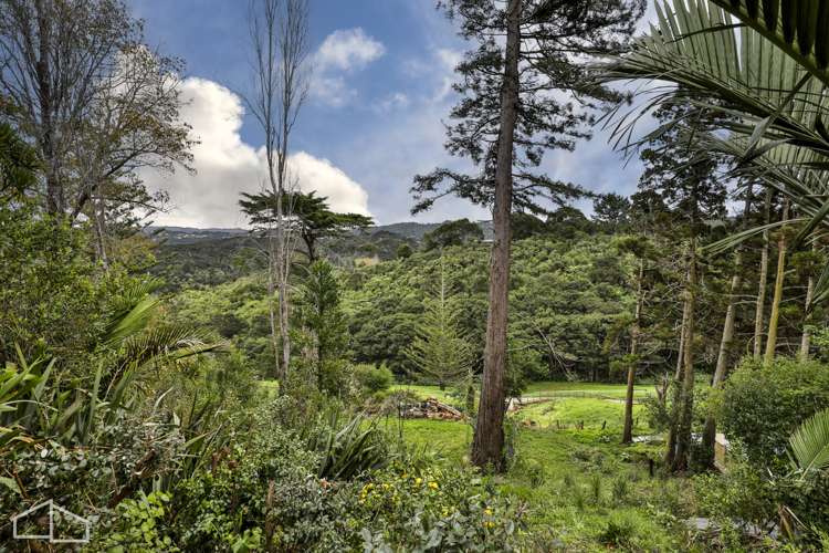 665 South Titirangi Road Titirangi_32