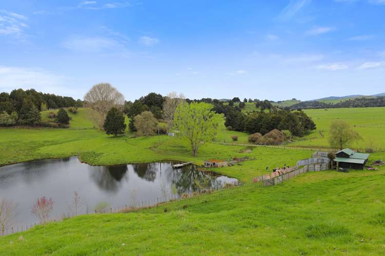 Stone Jug Road Kakahi_22