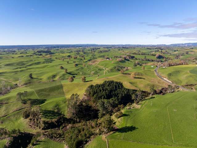 2005 Old Taupo Road Wiltsdown_2