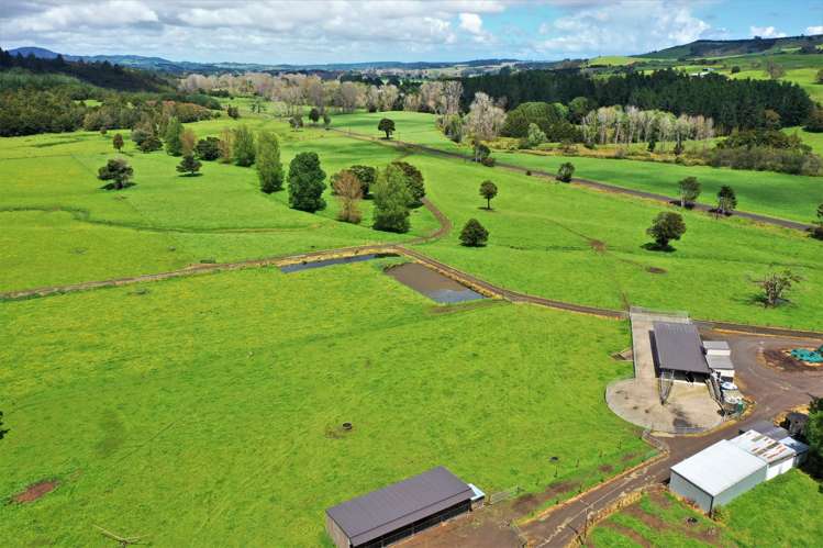 285 Kaihu Wood Road Dargaville Surrounds_6