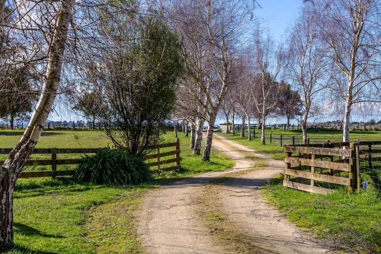 252 East Taratahi Road Carterton_22