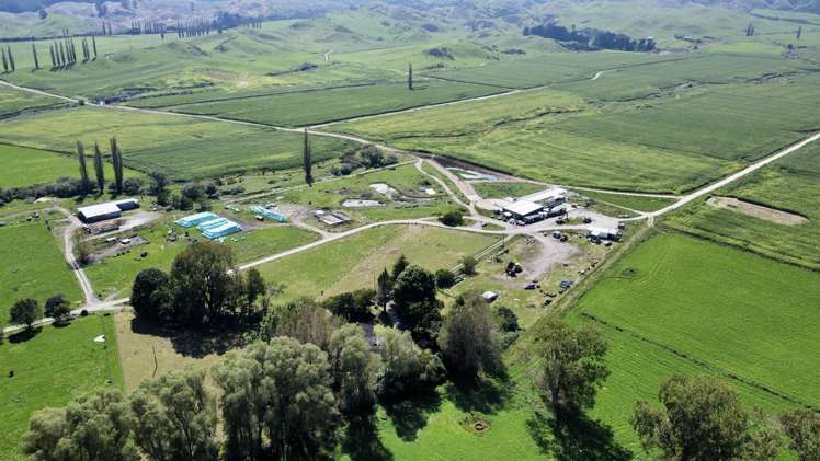 3931 Galatea Road Murupara Surrounds_5