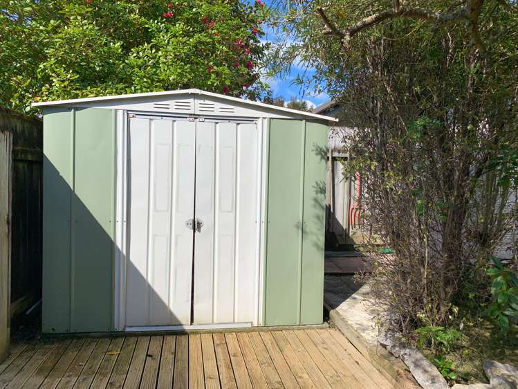 2d Feary Crescent Takaka_20