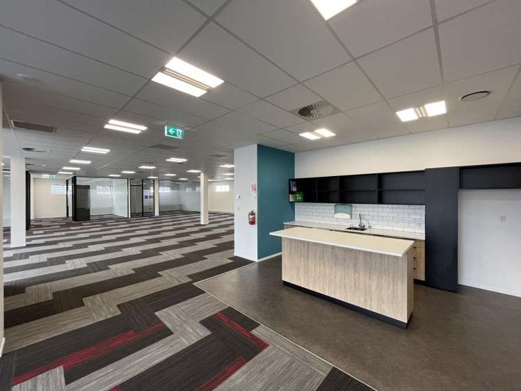 4 Murdoch Road Grey Lynn_5