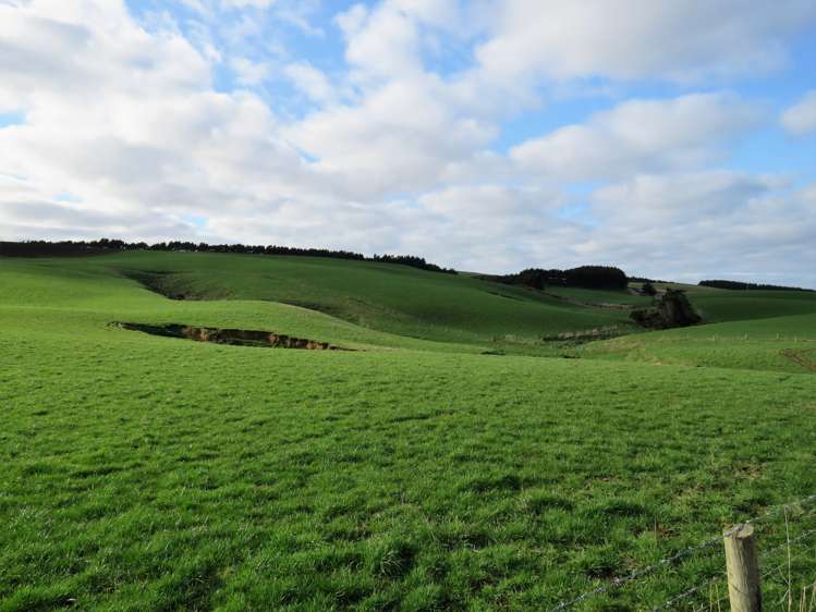 775 Otara Haldane Road Wyndham Surrounds_16