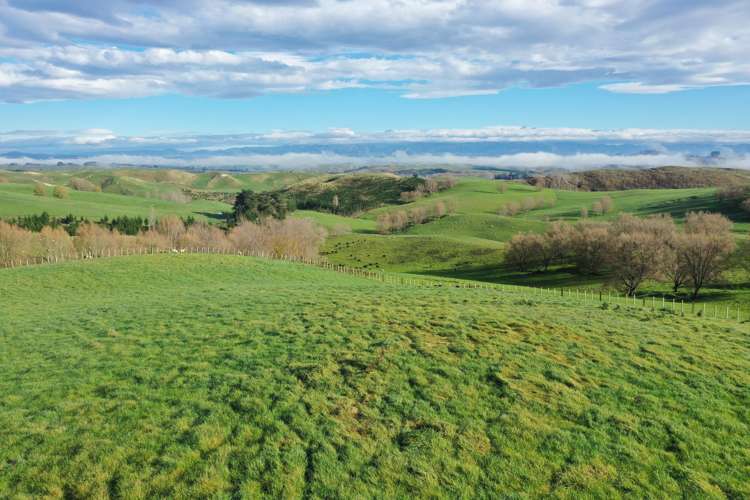 223 and 224 Peacock Road Waipukurau_11