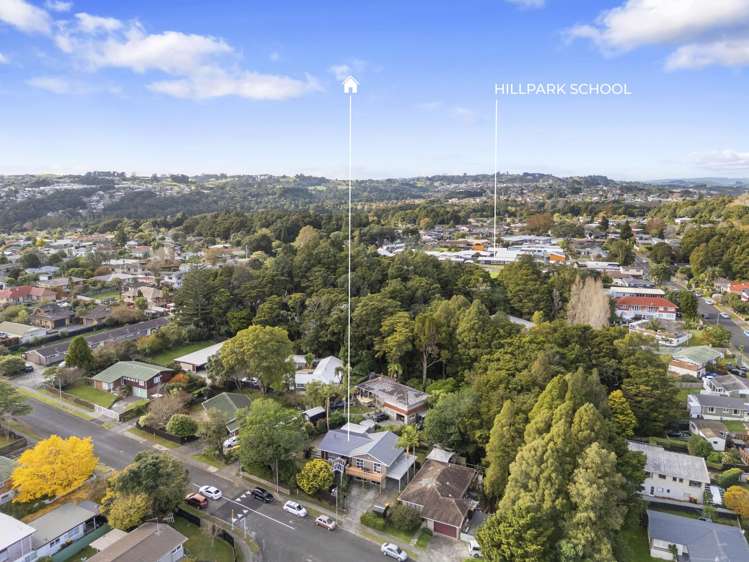 45 Scenic Drive Hillpark_21
