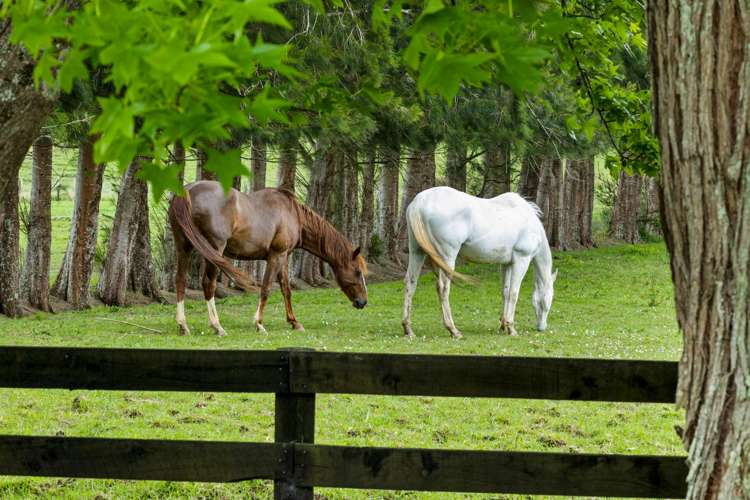43 Thompson Road Kaitaia_16