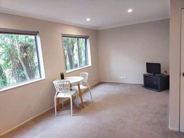 40g Konini Road Titirangi_2