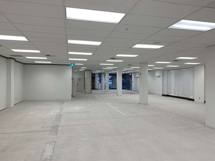 65 Clyde Road Browns Bay_6