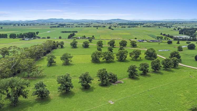 51a Waverley Road Gordonton_31