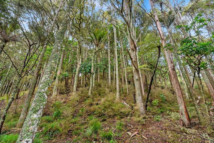 945 Springfield Road Springfield_28