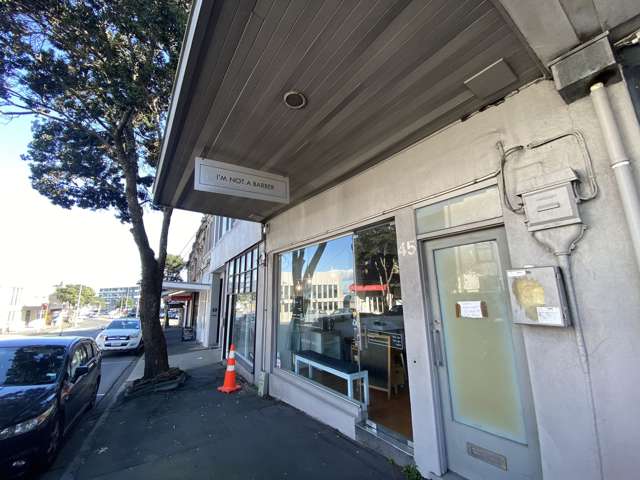 45 New North Road Eden Terrace_4