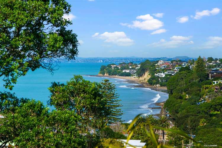 1/555 Beach Road Murrays Bay_2