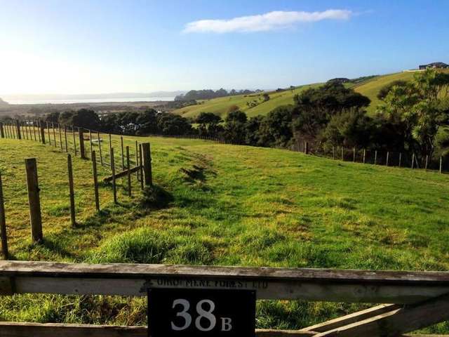 38b Kaipara Lake Road South Head_3