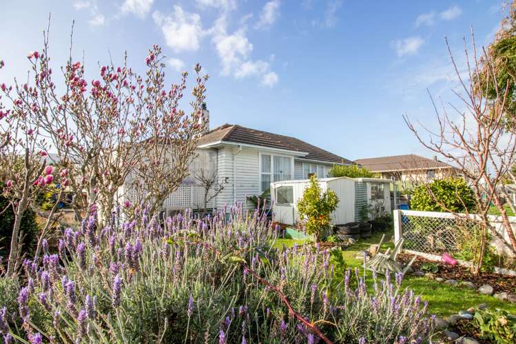 35 Taylor Avenue Paeroa_13