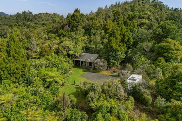 974 The 309 Rd Whitianga_2