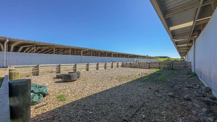 61 Cuff Road Kingseat_8