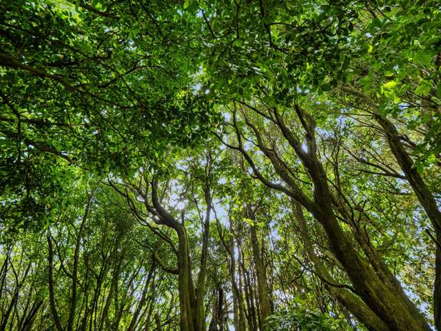 Lot 3 6A Waiata Road Te Puna_4