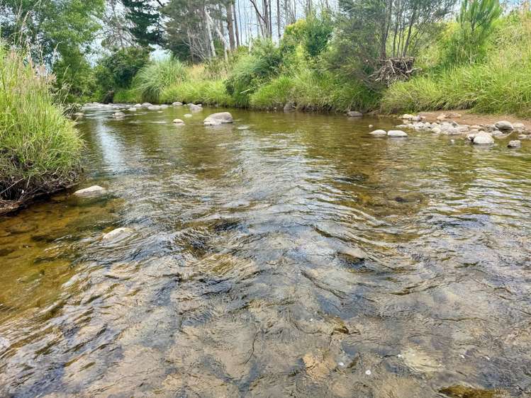 30C State Highway 2 Aongatete_12