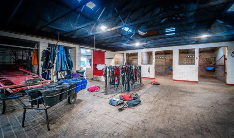 465 Dawsons Road Templeton_18