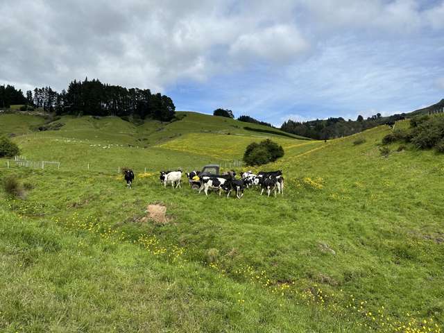 70 Kens Lane Sawyers Bay_2